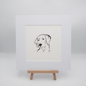 Labrador Illustration 1