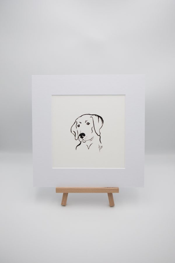Labrador Illustration 1