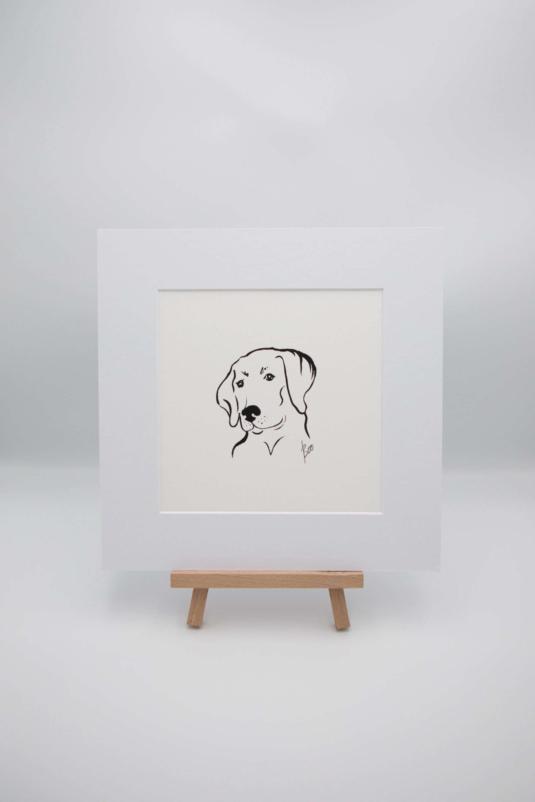 Labrador Illustration 1