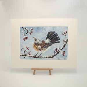 Berry Treats for Mr. Fieldfare