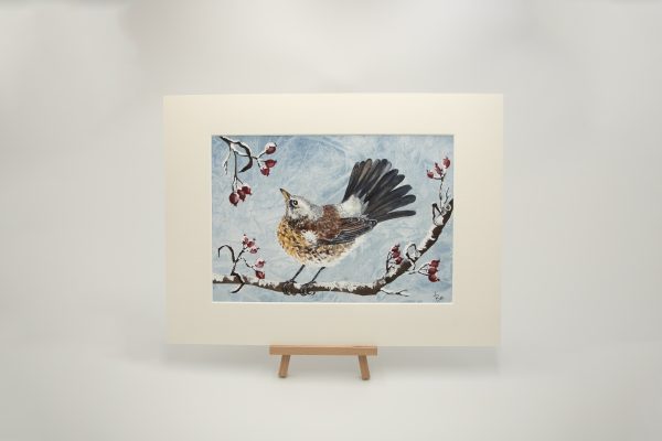 Berry Treats for Mr. Fieldfare