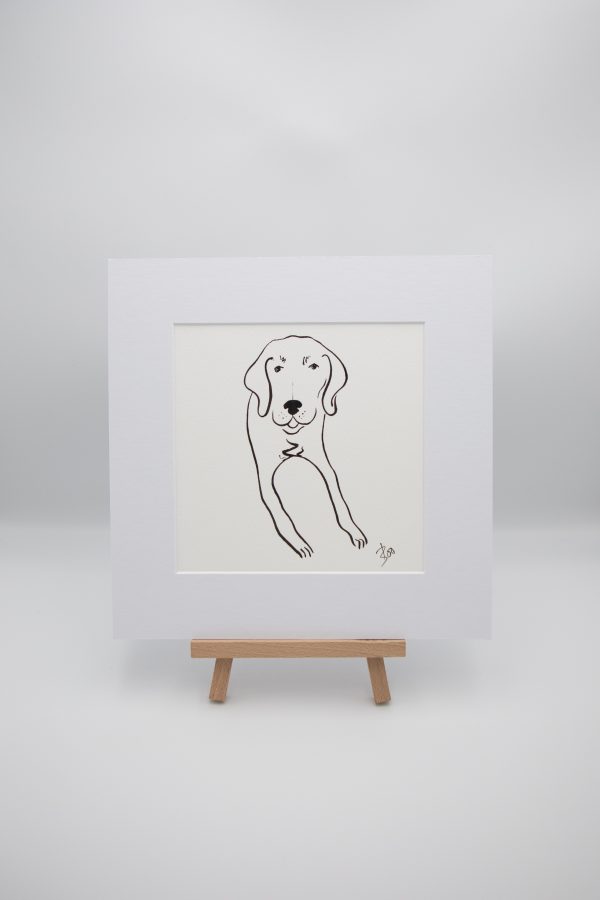 Labrador Illustration 2