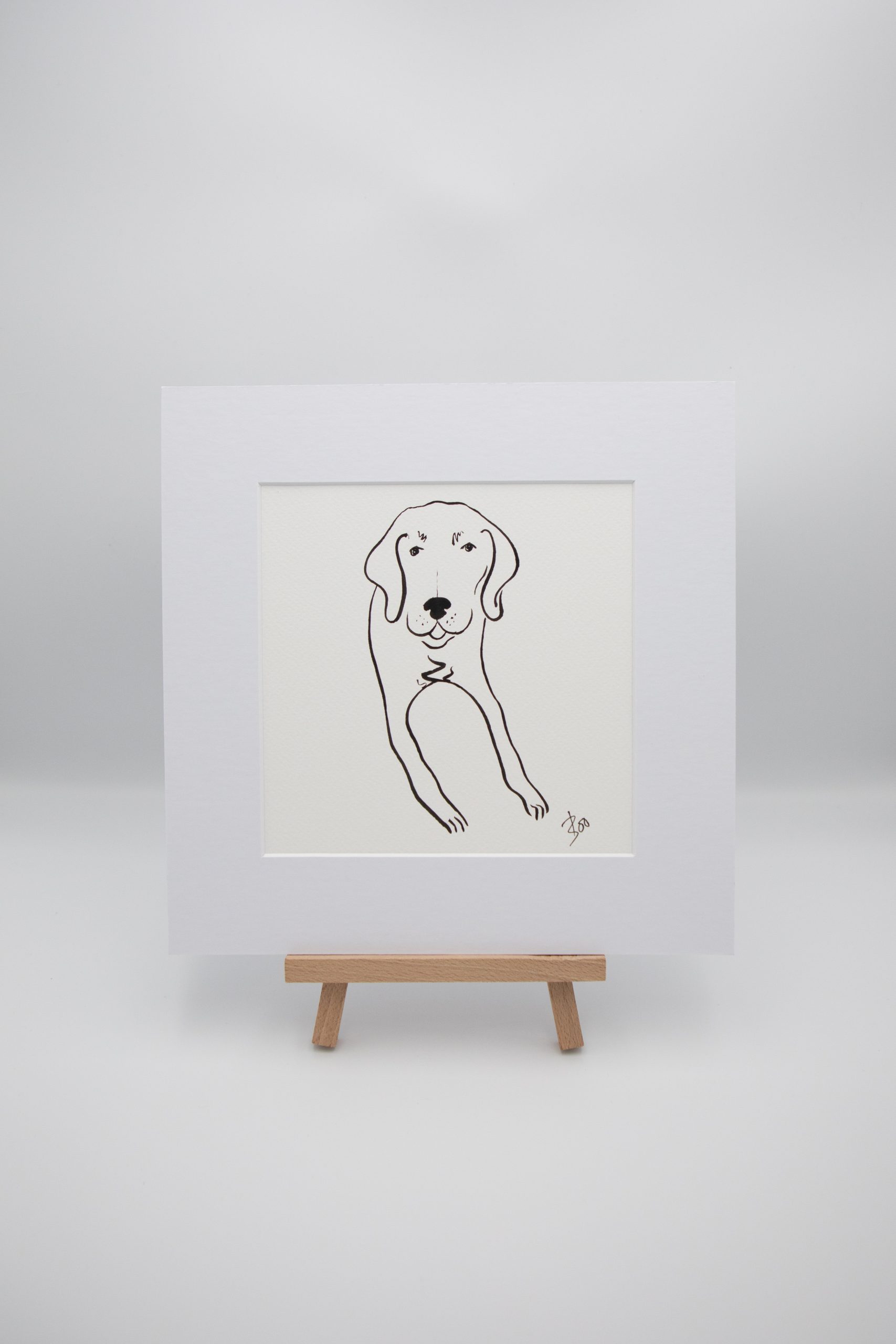 Labrador Illustration 2