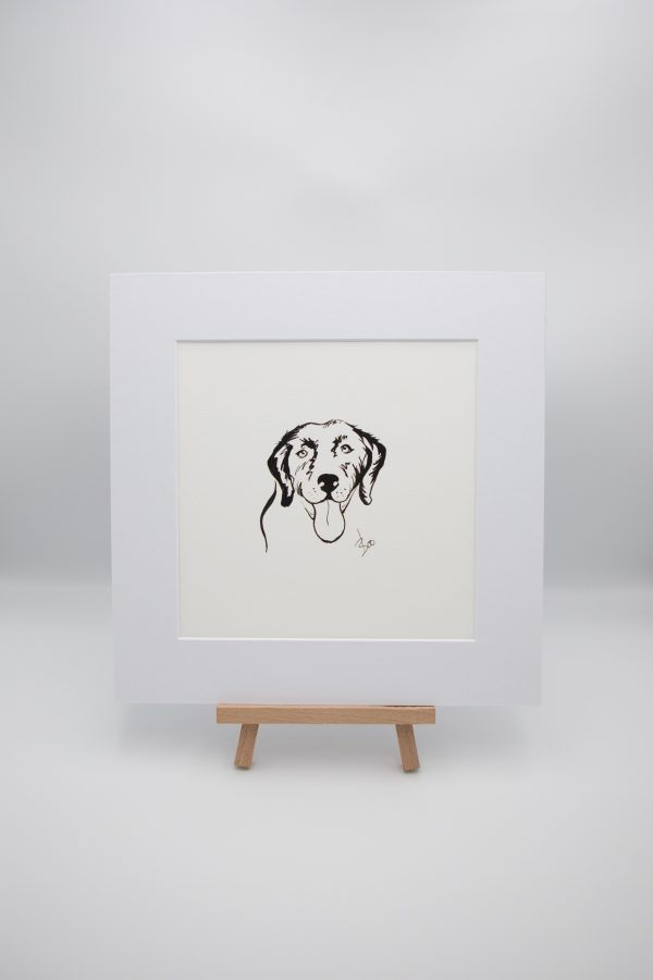 Labrador Illustration 3