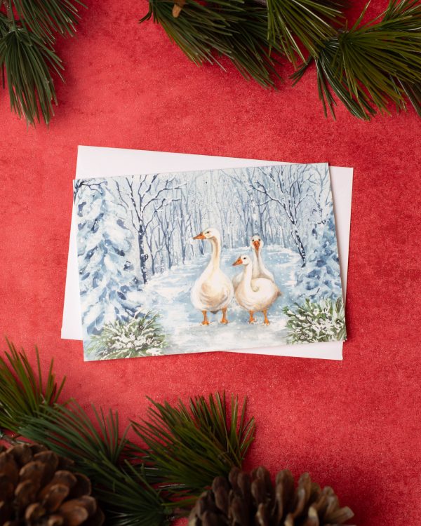 Snowy Goose Chatters