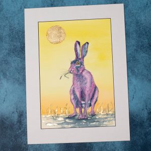 Sunset Hare